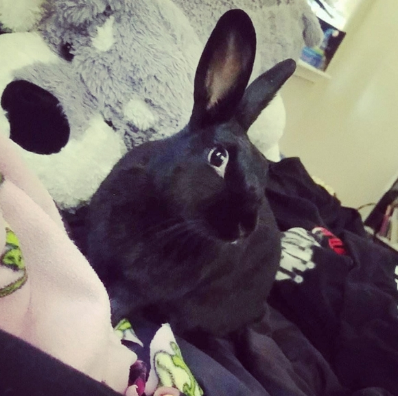 Kin - Picture 3 of 4